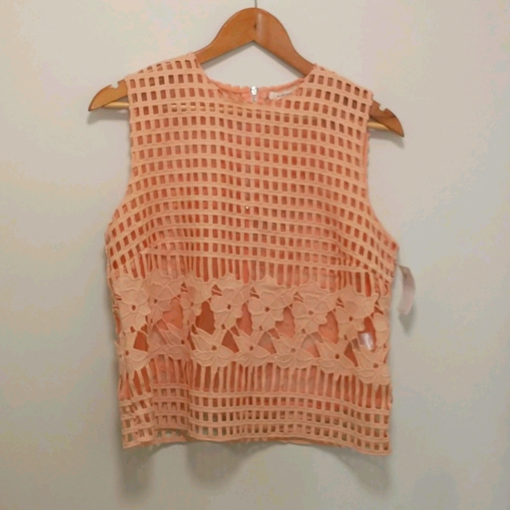 Endless Rose peach embroidery top